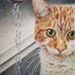 Wendy Connors-Beckett