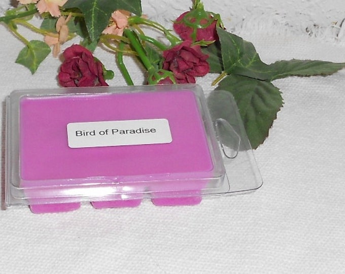Three Packages of Scented Wax Melts for Wax Melt Warmers: Bird of Paradise, Blackberry Amber type and Blackberry Pie