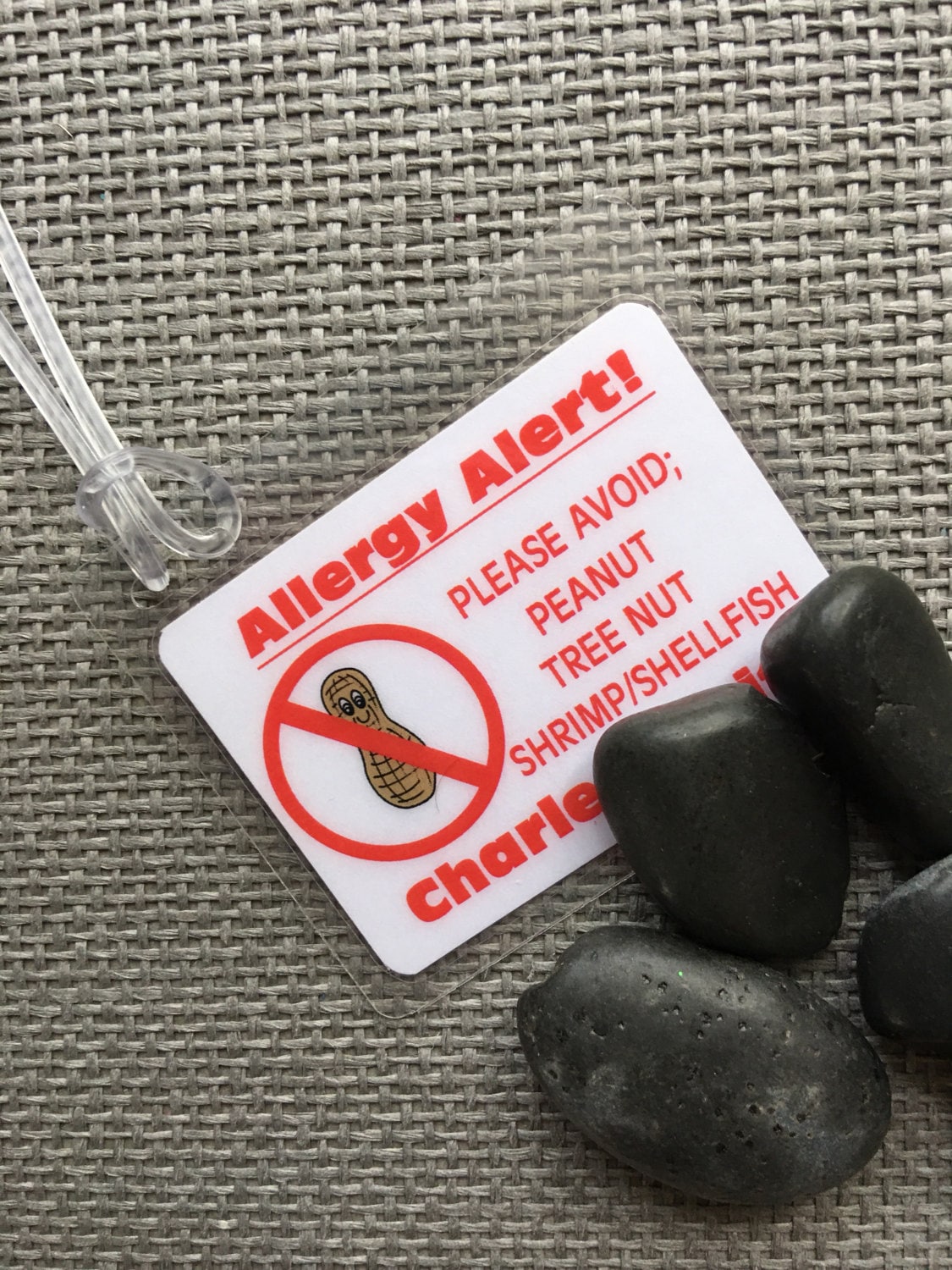 Peanut Allergy Bag Tag Allergy Alert Tag Preschool Backpack