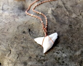 Rose Gold Shark Tooth Necklace, Dainty Shark Tooth Necklace, Rose Gold Necklace, Dainty Gold Necklace, Shark, Shark Week, Sharks Tooth,
