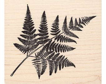 Fern Leaf 741M Beeswax Rubber Stamps Unmounted, Cling, Mounted Stamp Scenic, Landscape Stamping