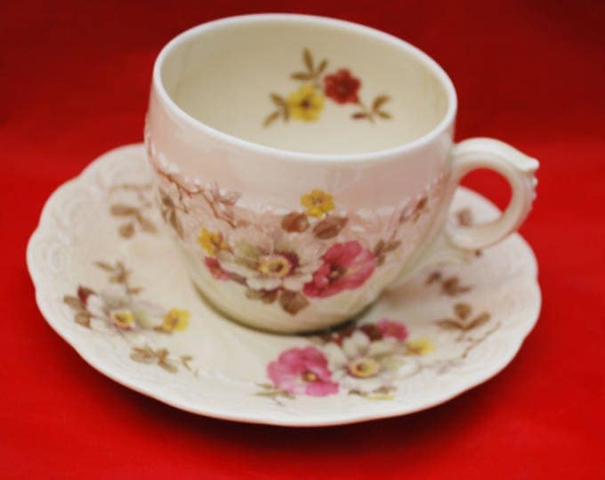 Hohenberg Bavaria - tea cup and saucer - Flora Apple Blosson Vintage - Shabby Chic pink green