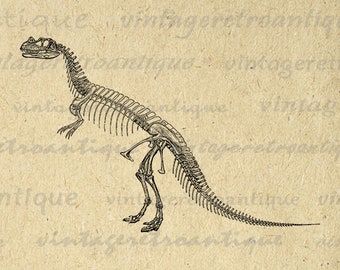 Printable Graphic Dinosaur Skeleton Download Image Digital