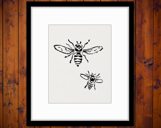 Printable Bee Art Digital Bees Print Graphic Insect Bug Art Bee Illustration Digital Download Vintage Clip Art Jpg Png Eps HQ 300dpi No.1564