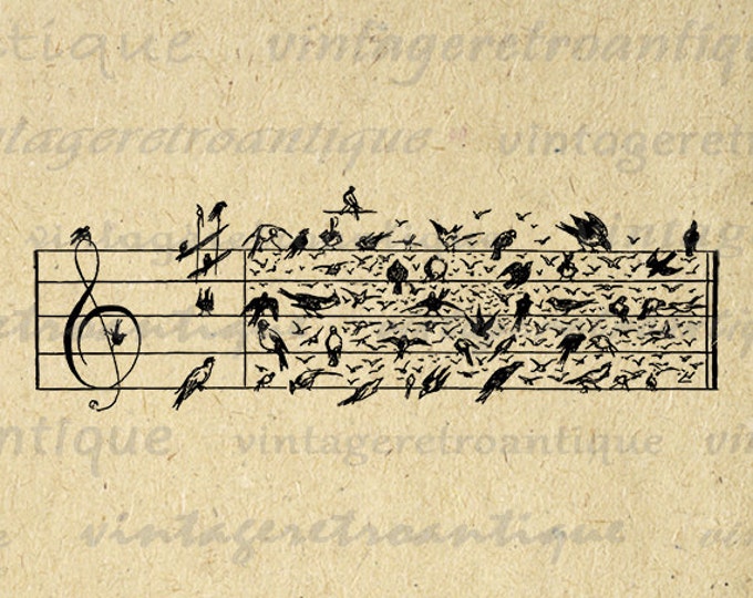 Birds Music Notes Printable Bird Image Music Graphic Musical Notation Music Sheet Antique Art Download Digital Jpg Png Eps HQ 300dpi No.3269
