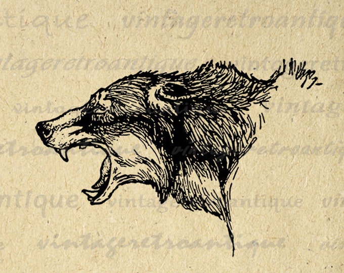 Digital Printable Fierce Wolf Graphic Wolves Image Animal Download Vintage Clip Art Jpg Png Eps HQ 300dpi No.172