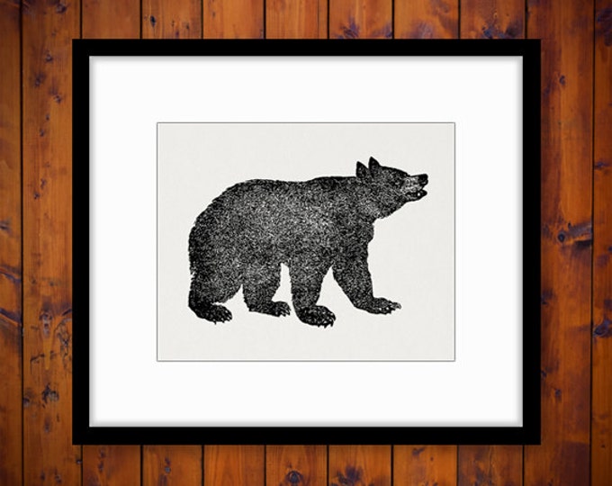 Printable Image Grizzly Bear Graphic Digital Animal Download Artwork Jpg Png Eps HQ 300dpi No.4108