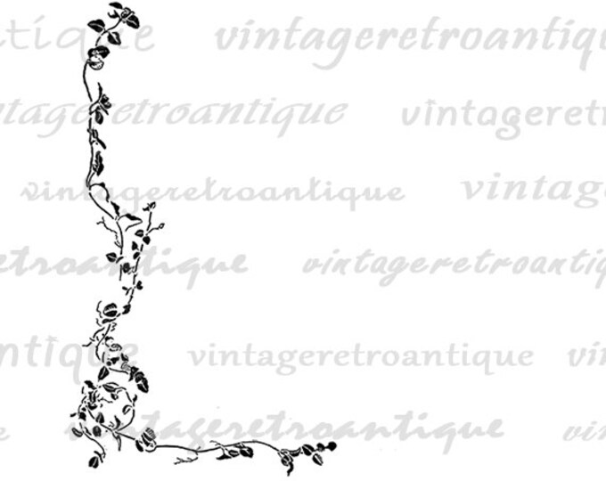 Printable Image Vine Leaf Design Digital Illustration Download Graphic Antique Clip Art Jpg Png Eps HQ 300dpi No.892