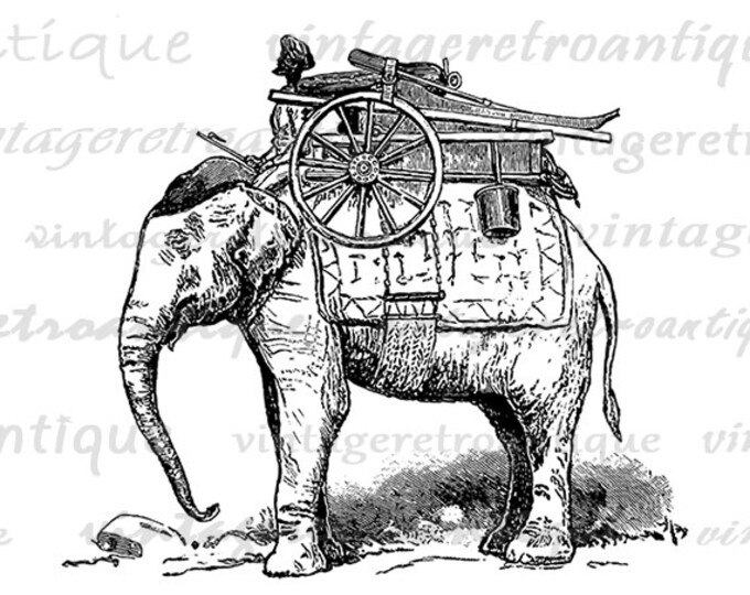 Digital Printable Elephant with Rider Graphic Image Illustration Download Antique Clip Art Jpg Png Eps HQ 300dpi No.3548