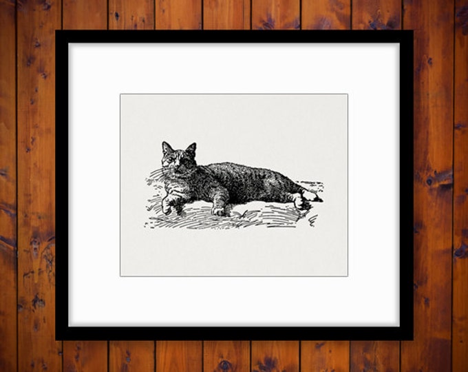 Manx Cat Digital Graphic Download Image Printable Artwork Vintage Clip Art Jpg Png Eps HQ 300dpi No.3072