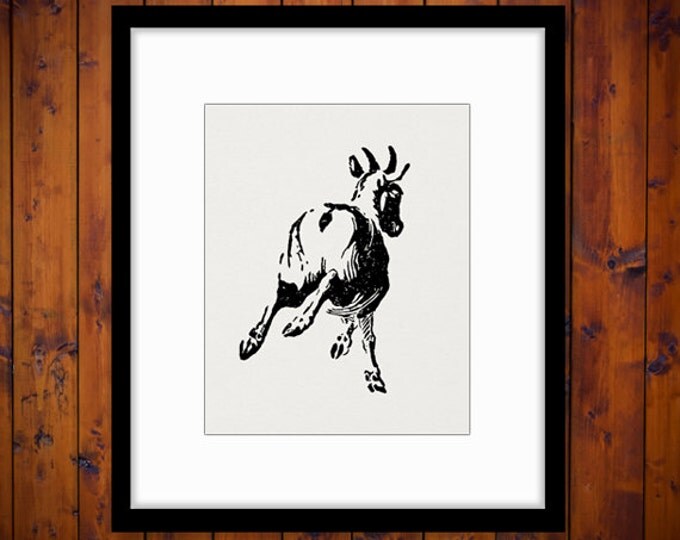 Printable Graphic Goat Image Animal Download Illustration Digital Vintage Clip Art Jpg Png Eps HQ 300dpi No.887