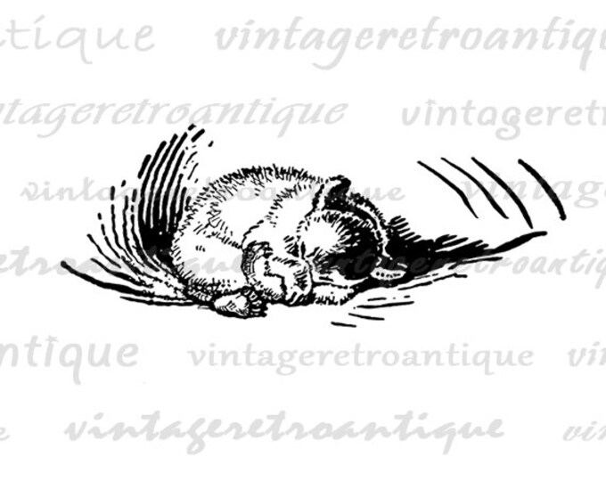 Printable Hibernating Bear Digital Image Illustration Download Graphic Vintage Clip Art Jpg Png Eps HQ 300dpi No.895