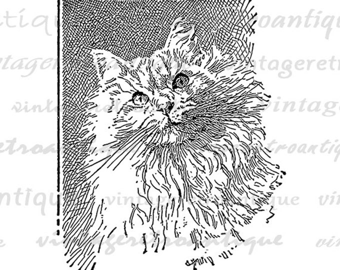 Digital Printable Tabby Cat Download Illustration Graphic Image Vintage Clip Art Jpg Png Eps HQ 300dpi No.3056