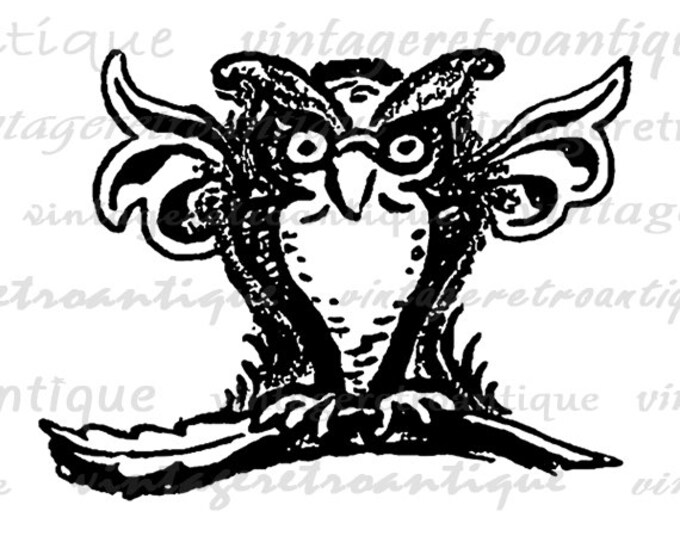 Wise Owl Printable Digital Graphic Bird Illustration Image Download Vintage Clip Art Jpg Png Eps HQ 300dpi No.1647