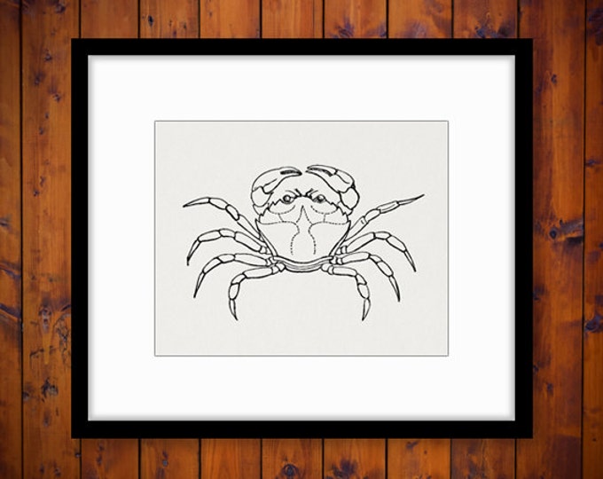 Printable Digital Crab Image Download Ocean Artwork Sea Graphic Jpg Png Eps HQ 300dpi No.581