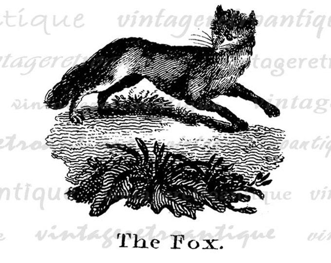 Printable Digital Antique Fox Illustration Graphic Image Animal Download Vintage Clip Art Jpg Png Eps HQ 300dpi No.930