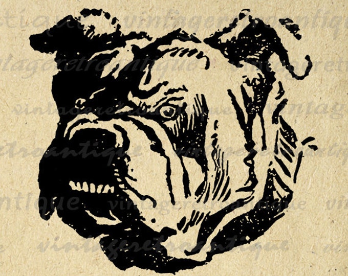 Bull Dog Graphic Printable Digital Bulldog Download Image Vintage Clip Art Jpg Png Eps HQ 300dpi No.060