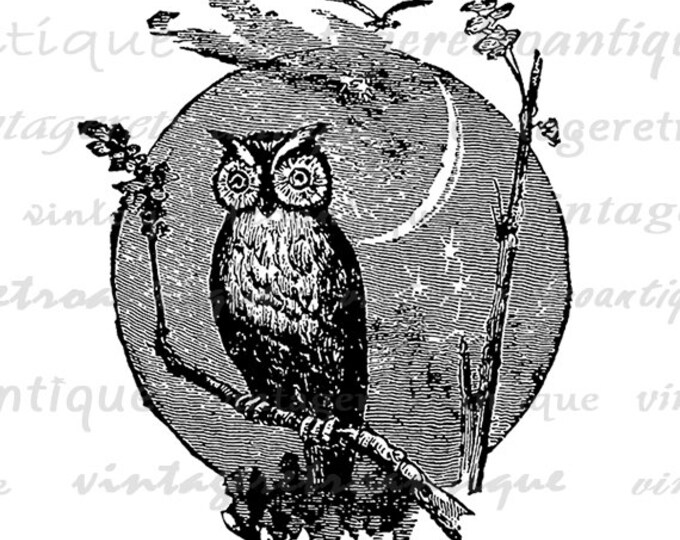 Owl Image Digital Download Owl with Moon Graphic Printable Artwork Vintage Clip Art Jpg Png Eps HQ 300dpi No.4560