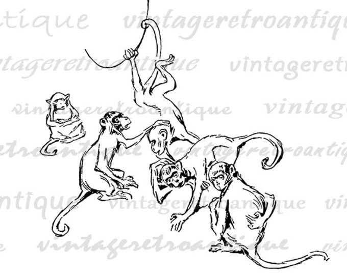 Monkeys Digital Image Download Printable Graphic Vintage Clip Art Jpg Png Eps HQ No.2878