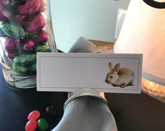Easter Bunny Place Cards Set of 8