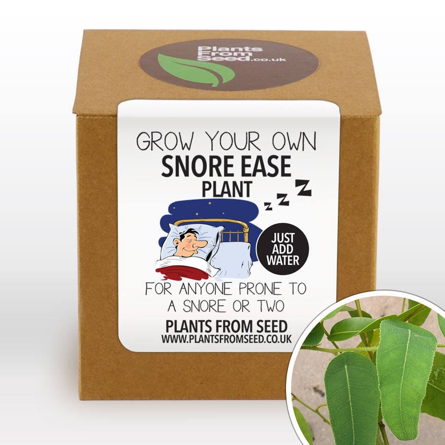 Grow Your Own Snore Ease Plant Kit
