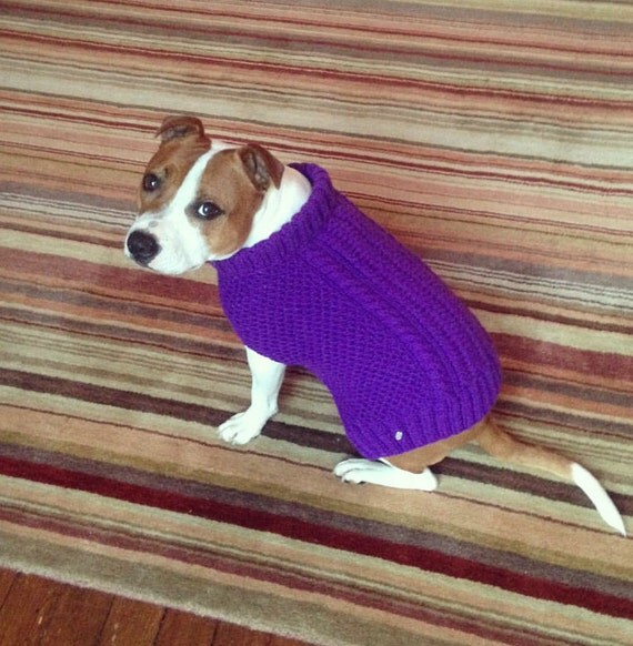 Hand Knitted / Dog Jumper / Cat Jumper / Custom Made for All