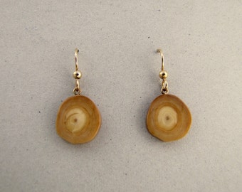 Sterling Silver Alaskan Fossil Ivory Earrings