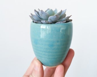 SUCCULENT PLANTER // air plant holder- air plant favor- succulent gift- ceramic succulent planter- mini planter- desk decor- turquoise