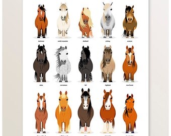 Horse Breeds, Farm Animals, British Livestock, Pony Variations, Modern Breeds Poster