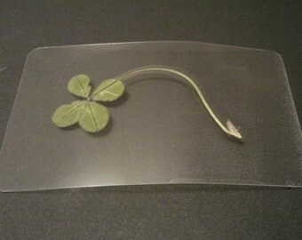 Real four leaf clover wallet card or bookmark