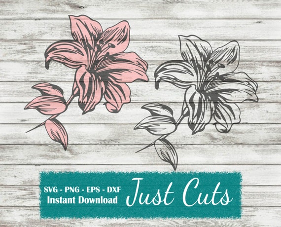Download Detailed Lily SVG lilies lily flower SVG eps PNG dxf