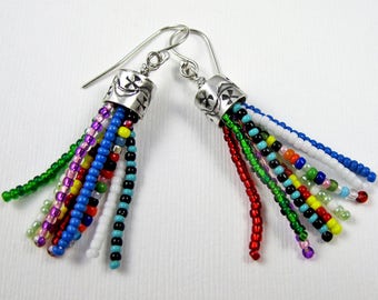 silver tassel earrings