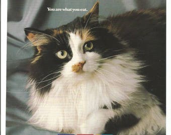 1987 Advertisement Cat Chow Purina You Are What You Eat Tuxedo Black White Pet Store Vet Veterinarian Rescue Office Groomer Wall Art Decor