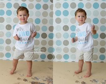 2nd Birthday Shirt Boy, 2nd Birthday Outfit Boy, Two Year Old Birthday Shirt, Second Birthday Boy Gift, Mr Two Much - Shirt Only