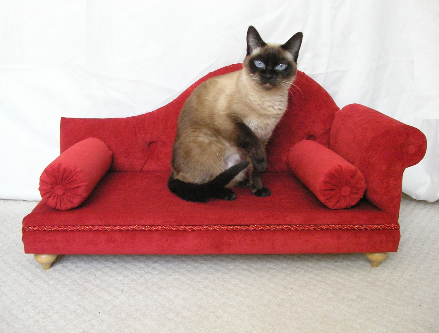 Red Velvet Sofa for dog sofa cats