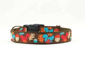 Fall Squirrel Dog Collar, Fall Dog Collar, Acorn Dog Collar, Woodland Dog Collar, Buckle Collar, Martingale, 1" Wide