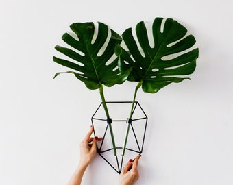 Metal Wall Vase botanical wall vase for plant loversecodeer on etsy Metal Wall Vase botanical wall vase for plant loversecodeer on etsy