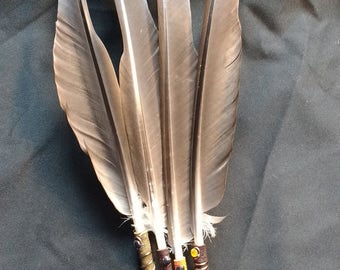 35 cm Natural Goose Feather Quills