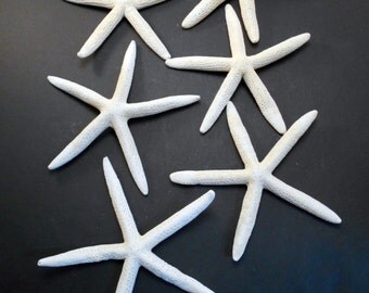 Set of 6 White Finger Starfish 8" - 10" Beach Weddings Crafts Coastal Decor Nautical