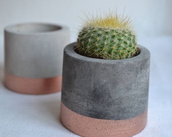 Copper Painted Concrete Plant Pots