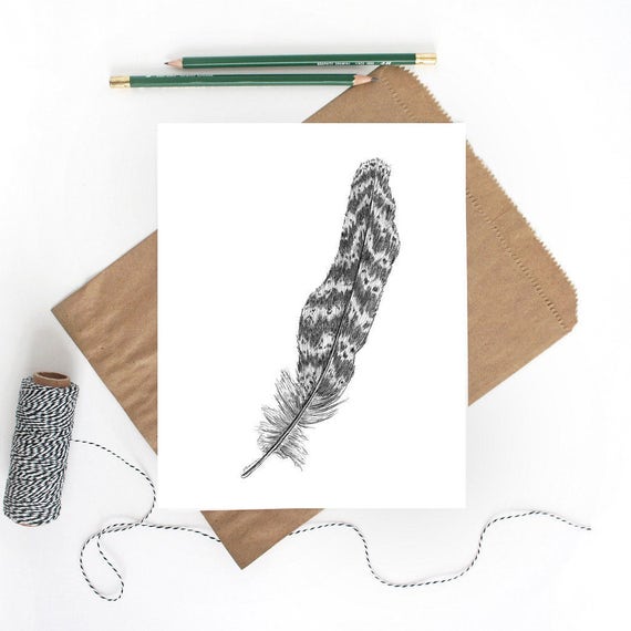 Feather Art Bird Print Feather Drawing Pheasant Feather