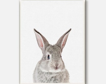 Bunny print, Rabbit poster, Nursery Art, Baby Room Animal Printable, Woodlands Rabbit wall art,Kids Room Print, Instant Download,Baby Animal