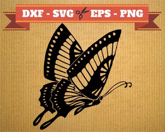 Free Free 225 Cricut 3D Butterfly Svg SVG PNG EPS DXF File