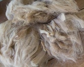 Alpaca Fleece (50 gm), raw, caramel or pale beige color, for spinning or felting, weaving, knitting, fiber art, fibre, natural, unprocessed