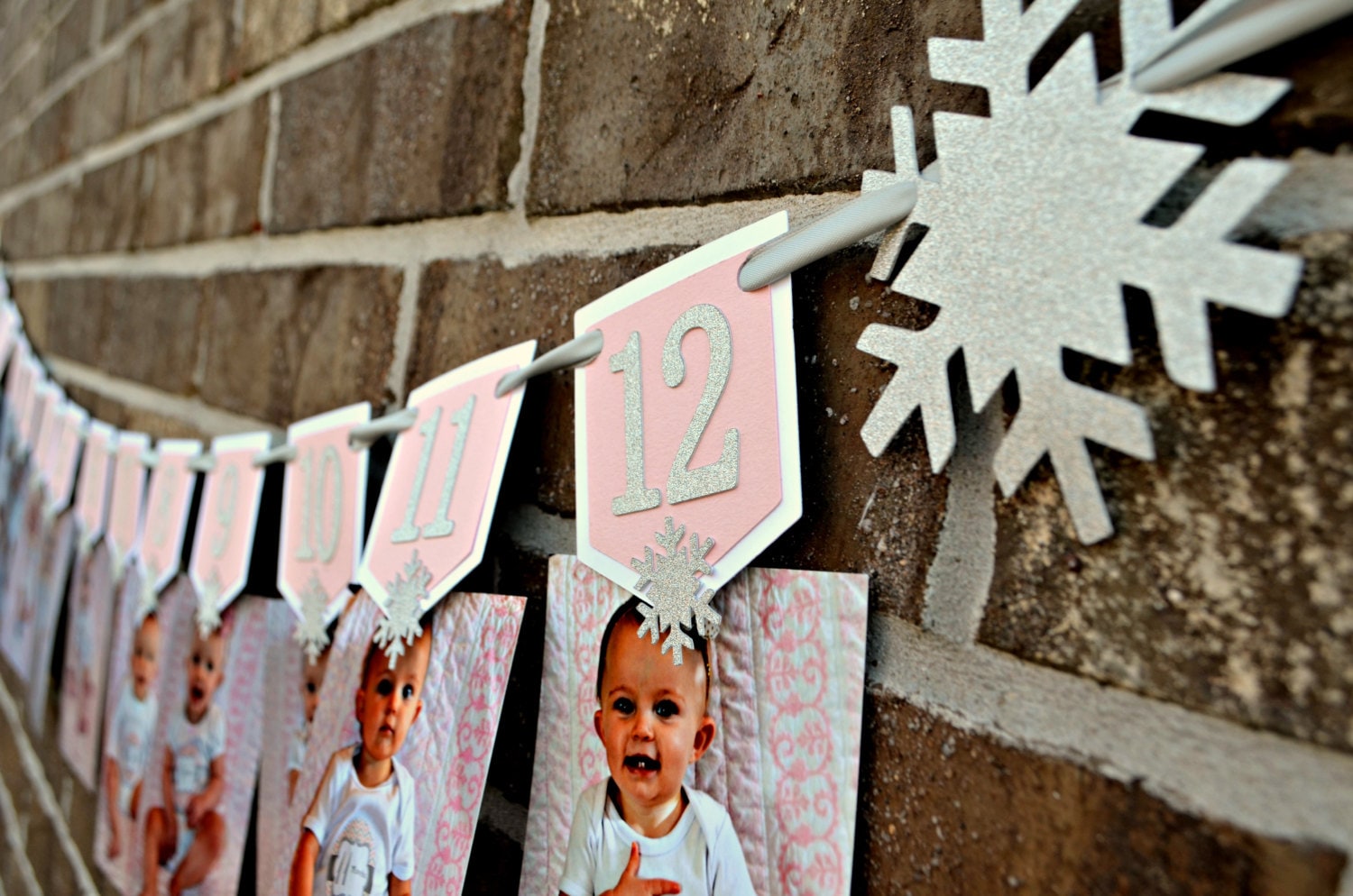 Winter Onederland Photo Banner. Winter Wonderland Photo