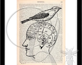 Bird Print Phrenology Head Dictionary Art Print vintage bird wall art bird watcher gift home office wall art book page art science art no 96