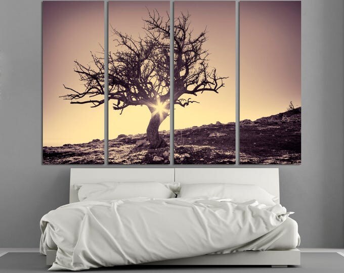 Large Desert Tree nature photography wall art print set of 3 or 5 panels on canvas, tree landscape sunset photography home decoration poster