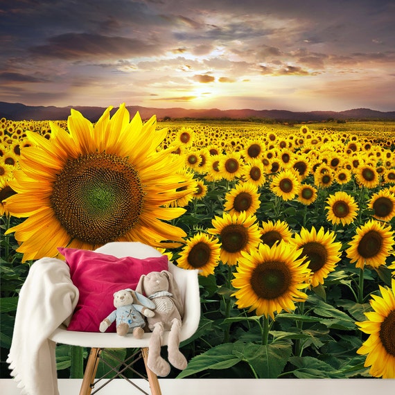 Sunflowers Mural Adhesive wall mural adhesive wallpaper