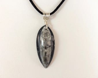Fossilized Orthoceras Pendant