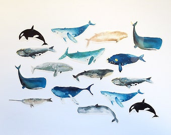 Whale Planner Stickers Pack, Transluscent Sea Animals Stickers, Scrapbooking Kiss-Cut Sticker Set
